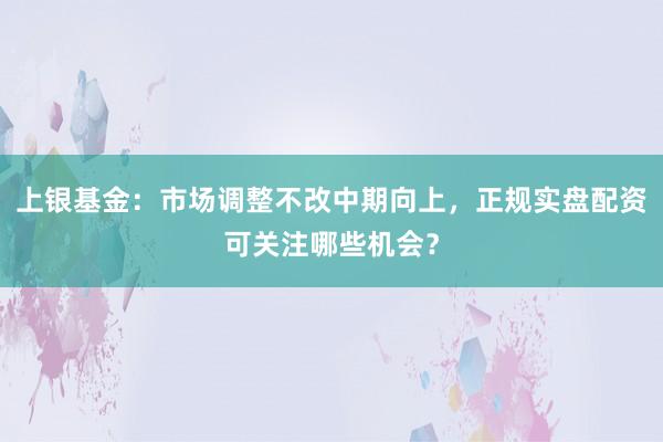 上银基金：市场调整不改中期向上，正规实盘配资可关注哪些机会？