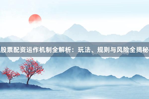 股票配资运作机制全解析：玩法、规则与风险全揭秘