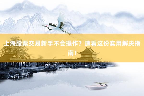 上海股票交易新手不会操作？速看这份实用解决指南！