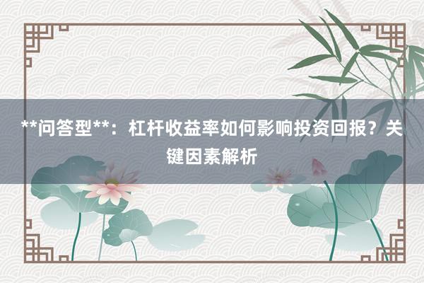 **问答型**：杠杆收益率如何影响投资回报？关键因素解析