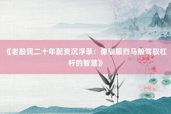 《老股民二十年配资沉浮录：像驯服烈马般驾驭杠杆的智慧》