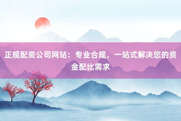 正规配资公司网站:专业合规,一站式解决您的资金配比需求