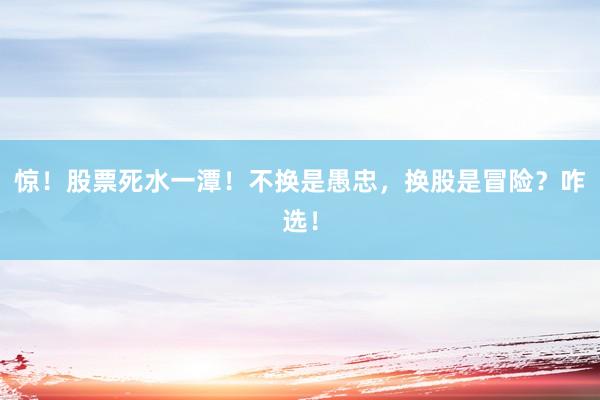 惊！股票死水一潭！不换是愚忠，换股是冒险？咋选！